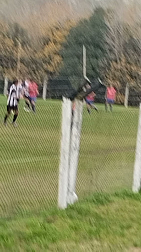 Complejo Deportivo Walter Devoto - Campo de fútbol