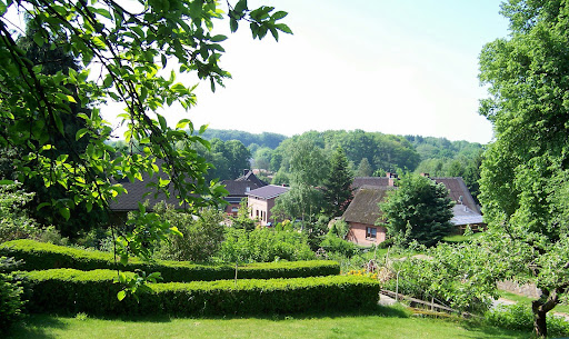 Malus Ponyhof - Thumbnail