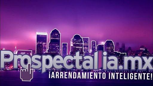 Prospectalia Mx - Visual
