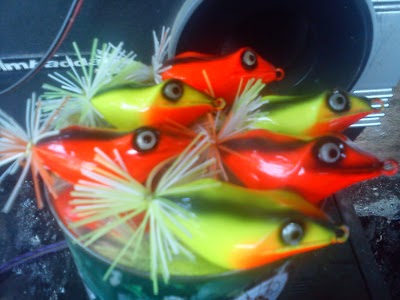 Photos of Workshop Delta Lure