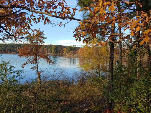 DeGray Lake Resort Island Trail - Thumbnail