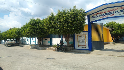 Preparatoria Agropecuaria Belisario Dominguez Palencia