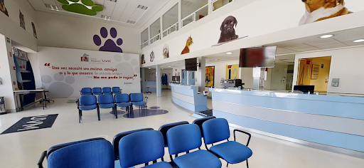 Hospital Veterinario UVM