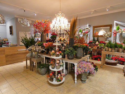 Blumenreich Floristmeister Robert Teckhaus - Thumbnail