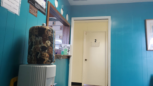 Somis Veterinary Hospital - Thumbnail