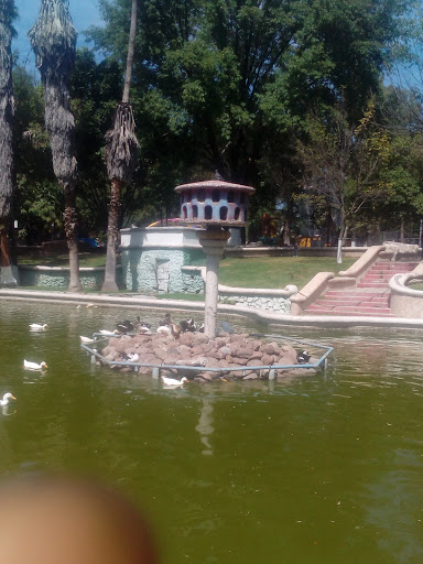 Hogar De Aves - Visual