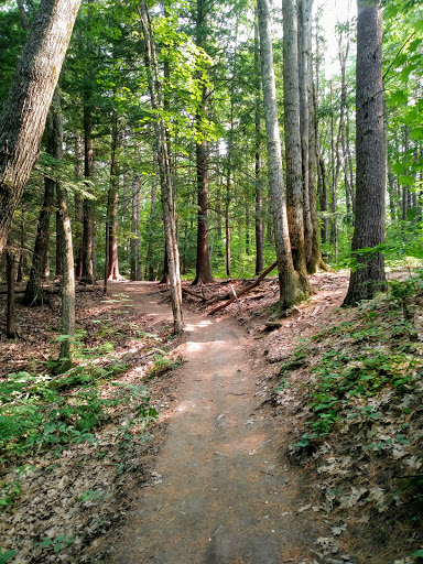 Fore River Sanctuary Gallery - United States