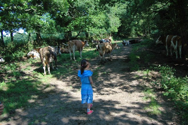 Un Lit au Pré La Ferme de Penquelen Huella