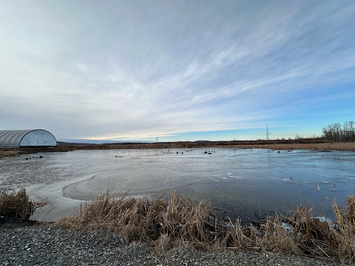 Fort Fairfield