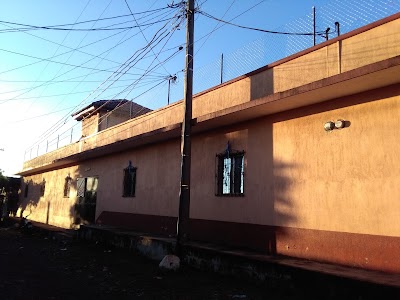 real-estate-agency