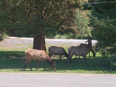 Elk Meadow Turnout