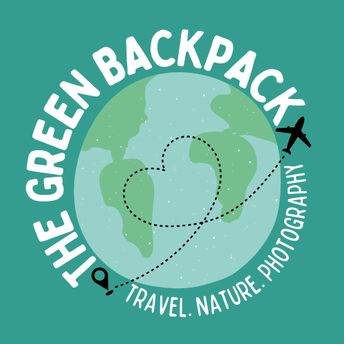 The Green Backpack - Thumbnail