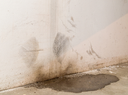 Blue Water Damage Services photo
