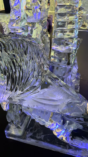 http://www.queenstownicebar.com/