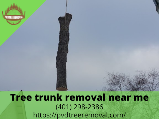 Tree Removal Service