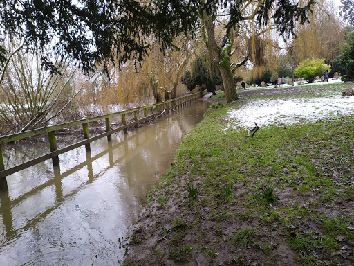 Ousebank Gardens - Thumbnail