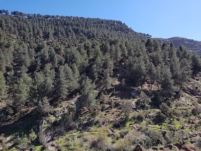 Photos of Kasbah tifirte