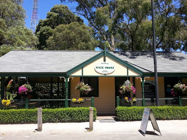 Dandenong Ranges National Park