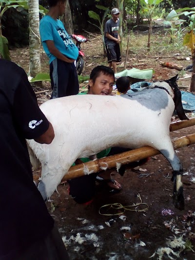Photos of Lapangan SRI REJOSARI