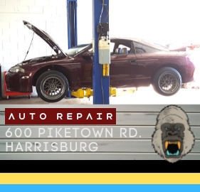 Alpha Quality & Performance Motorsports - Thumbnail
