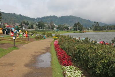 Photos of Lake Gregory Car Park