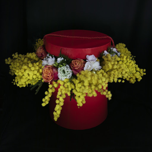 FlowVin's - Visual