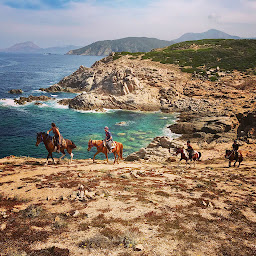 Photo n°37 de Ranch corse CLG sagone ferme équestre à Sagone (Club d'équitation)
