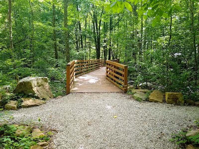 Big Soddy Creek Gulf