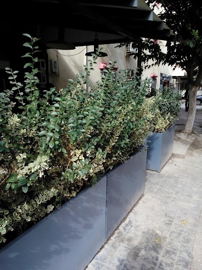 Photos of Pizzeria El Forn