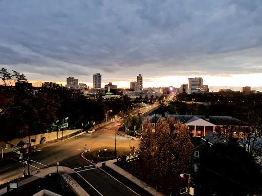 AMS Estates - Visual