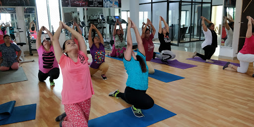 Fit n Fine Fitness Zone