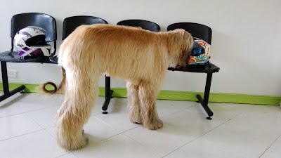 Photos of Cl&iacute;nica Veterinaria Vital