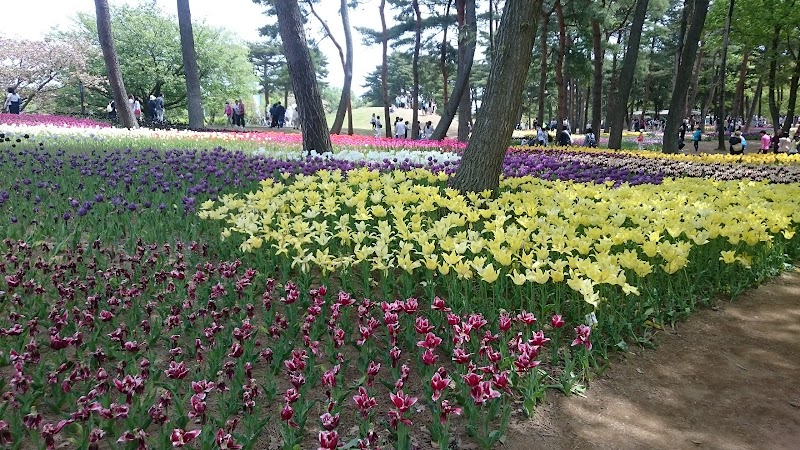 ひたちなか市総合運動公園 茨城県ひたちなか市新光町 運動競技場 グルコミ