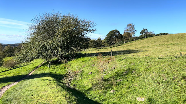 Anmeldelser af Panoramaruten i Hobro - Restaurant