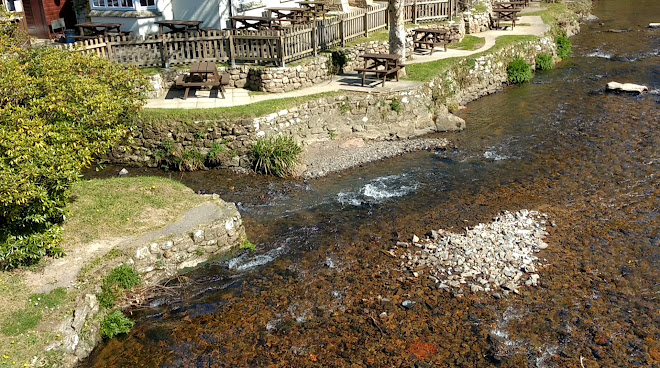 Fingle Bridge Inn by null
