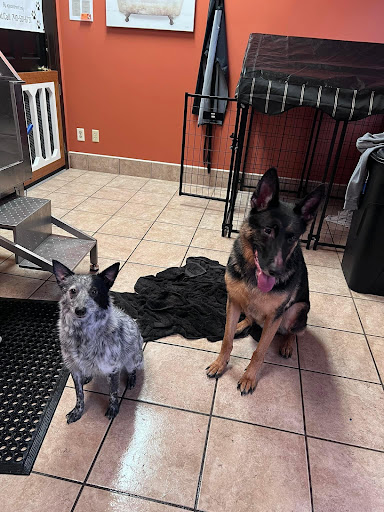DIY Dog Wash - Thumbnail