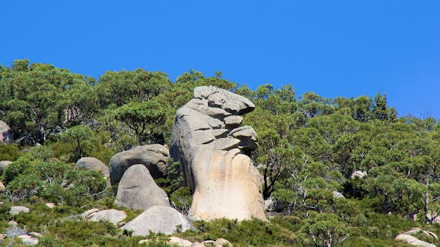 Péninsule de Wilson