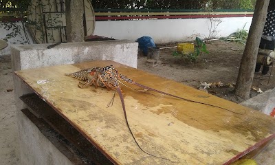 Photos of Anansi Beach Cottage