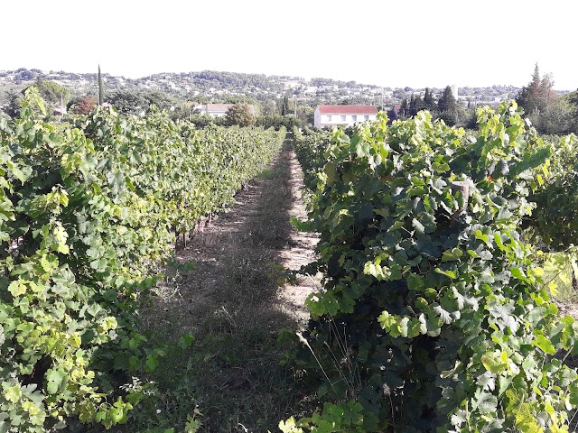 Domaine de Saint Alban