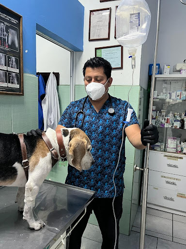 Veterinaria Mascopet