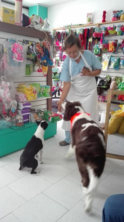 Photos of Mascotas Style