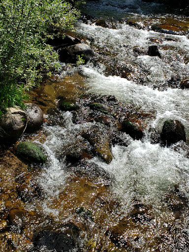 Ivy Creek Campground and Trailhead - Thumbnail