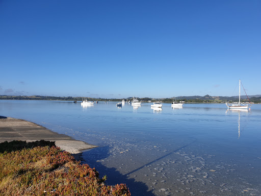 New Zealand Diving - Thumbnail