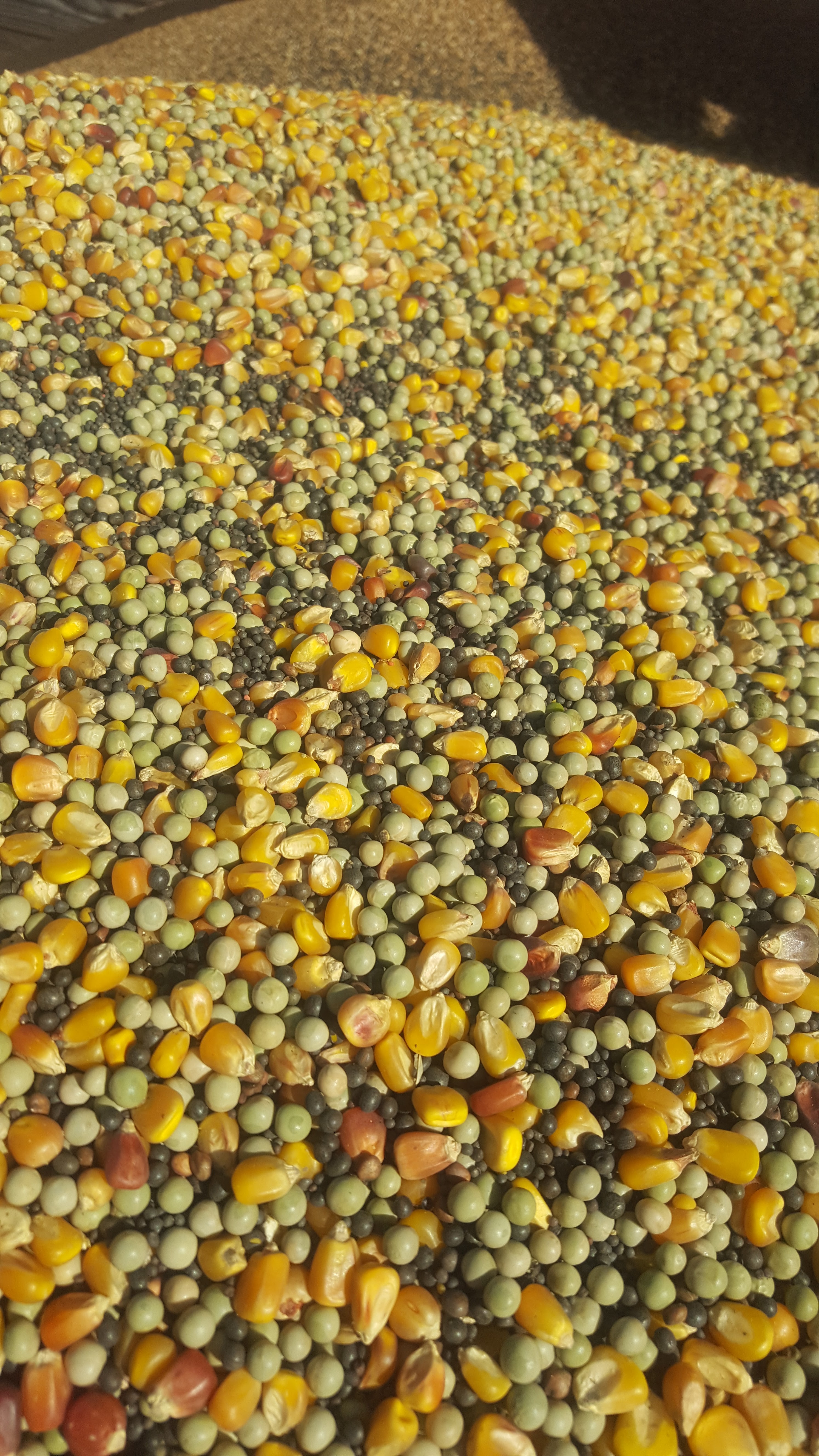 L & K Seed & Co. LLC