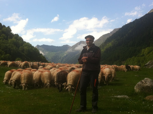 Photo de Ferme Castaing - Maison Ambielle à Laruns (64440)