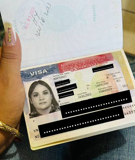 Global Visa - Visual