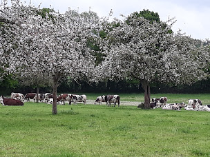 Photo n°5 de La Ferme Buissonnière à La Lande-de-Lougé (Ferme d'élevage)