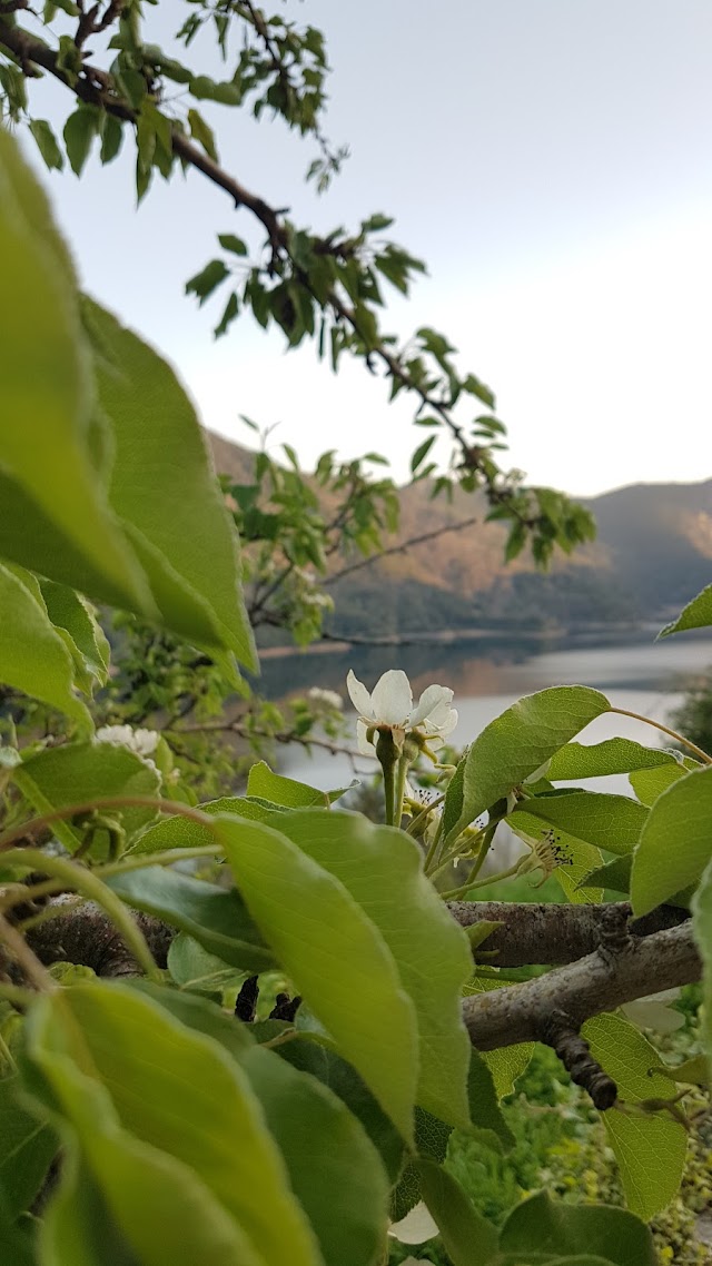 Lac de Tolla