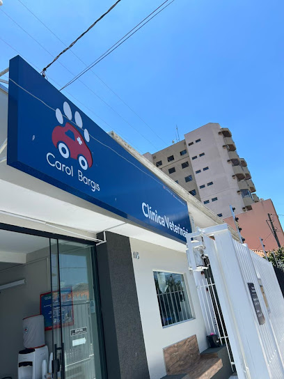 Clínica Veterinária Carol Bargis