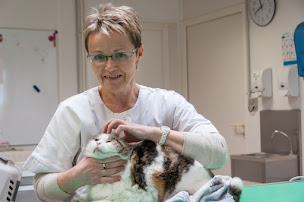 Photo n°25 de Clinique vétérinaire Vetarmor - Pontrieux à Ploëzal (Clinique vétérinaire)